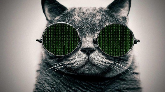 为什么vim***vim.org公开支持乌克兰？